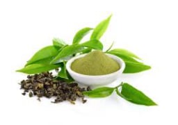 Green Tea Leaf Extract